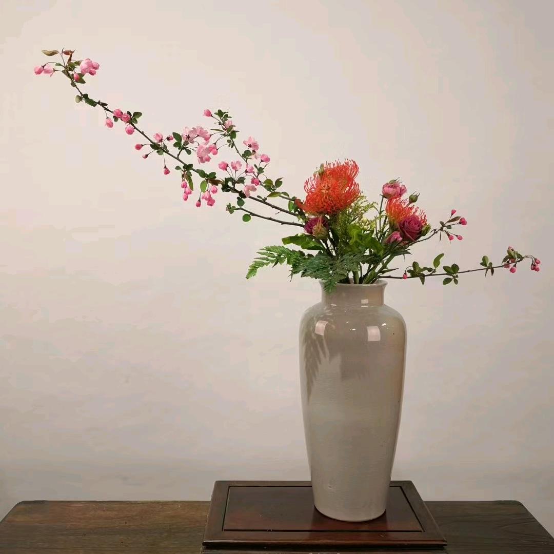 甬上绿植