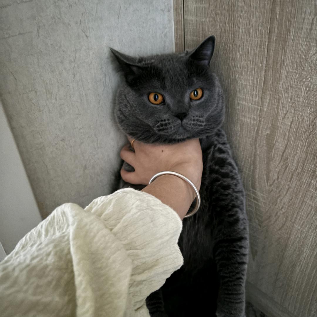 小鹿小鹿