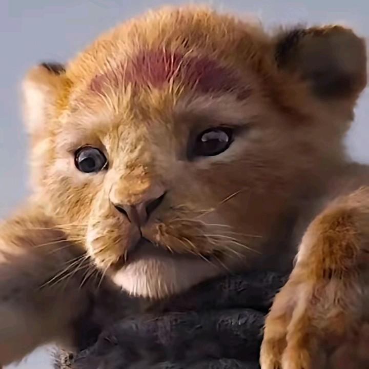 酒酿小鱼干儿🐟/