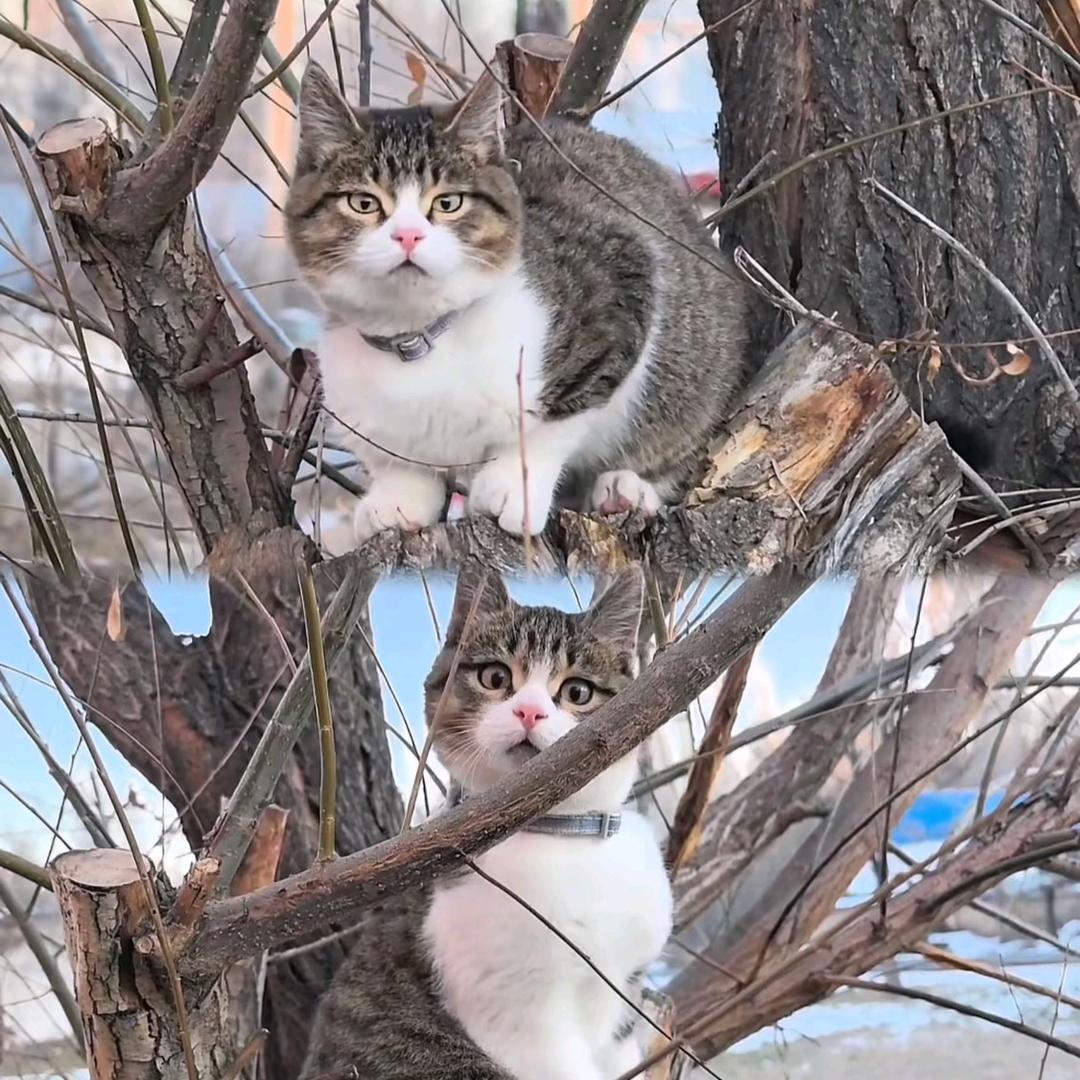 芜湖起飞