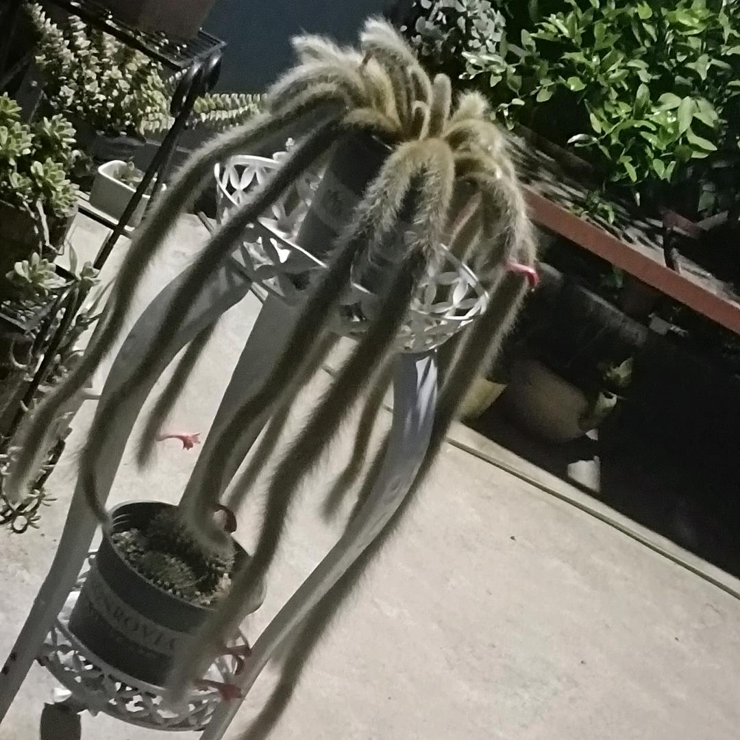 艳姐
