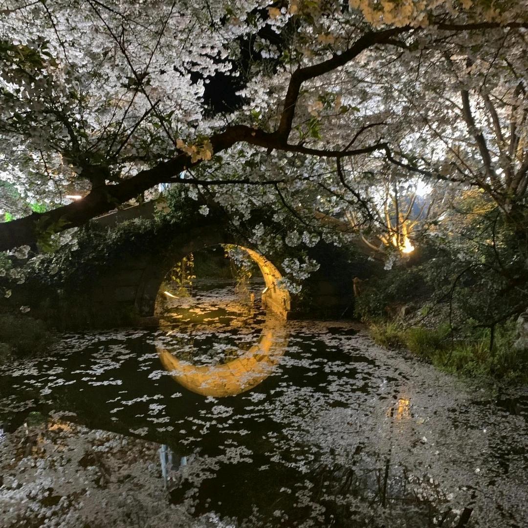 行路看景