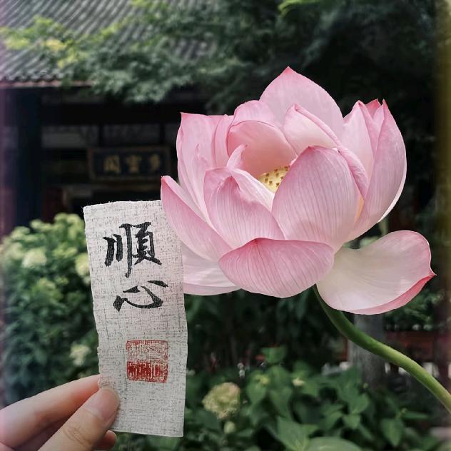 @不缺肉🌊（橱窗开通）🌊