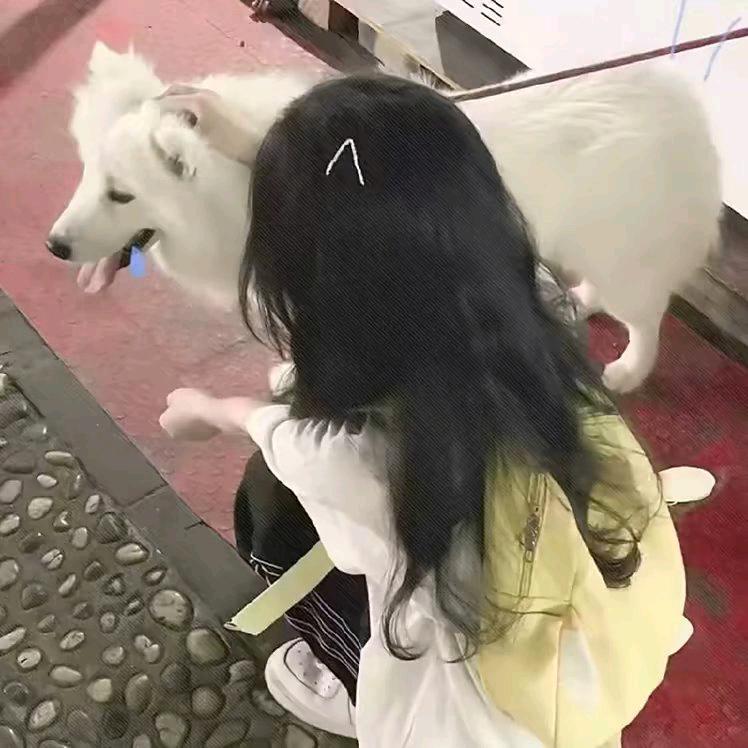 奶酪