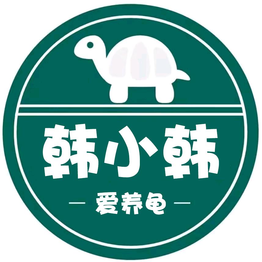 爱养龟的韩小韩🐢
