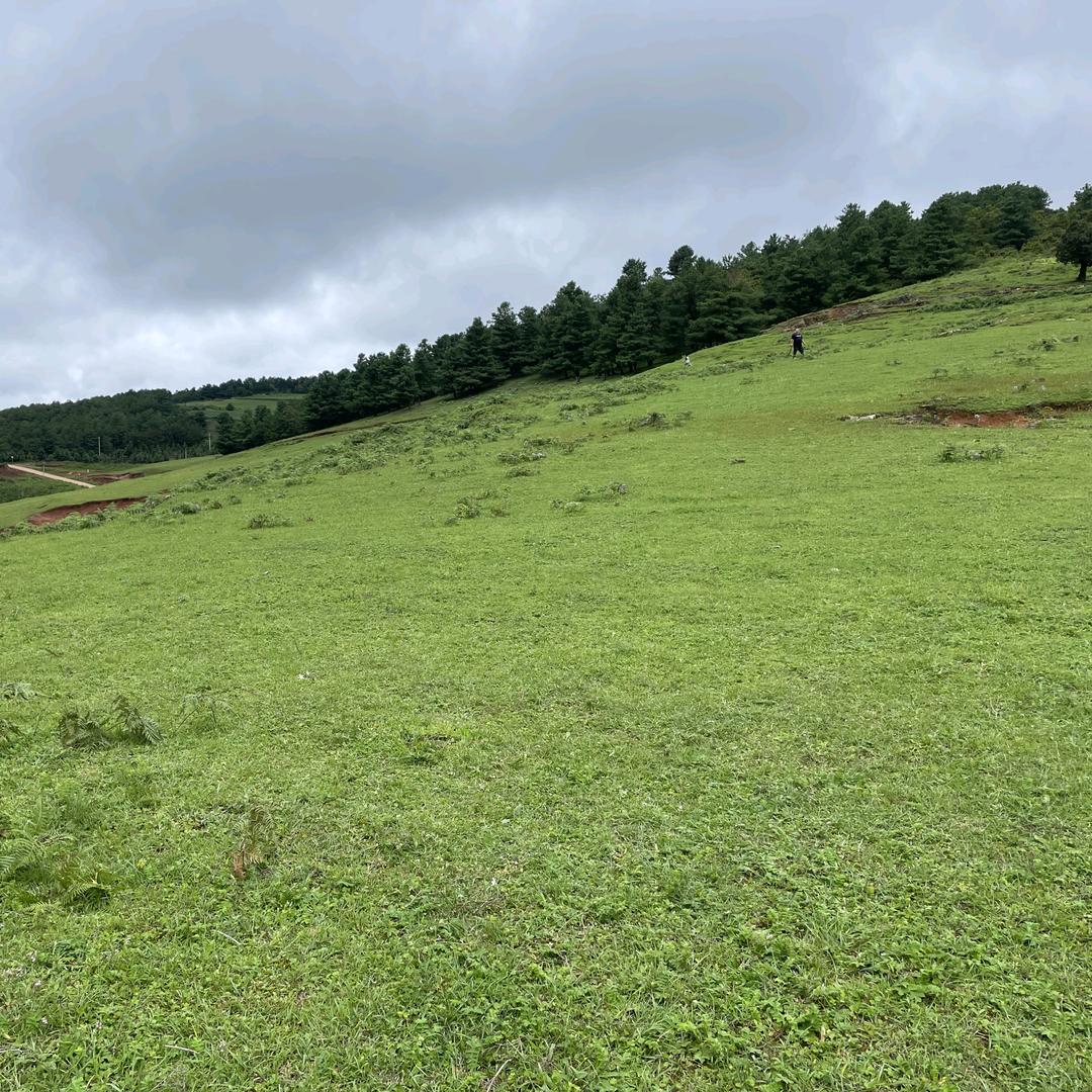 昆明驾考英英老师A