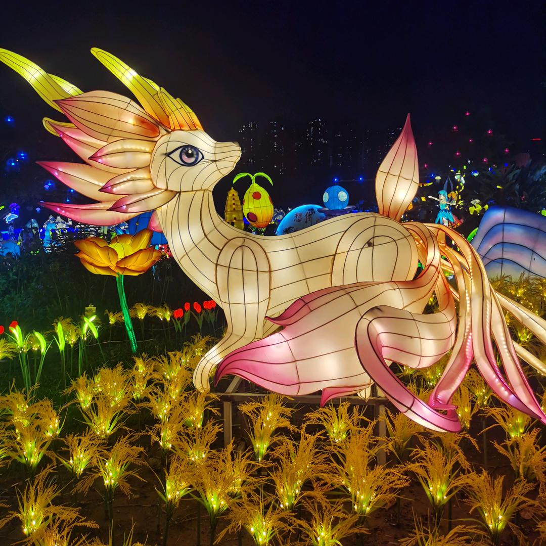 👑萍淡最真👑¹⁶⁸⁷