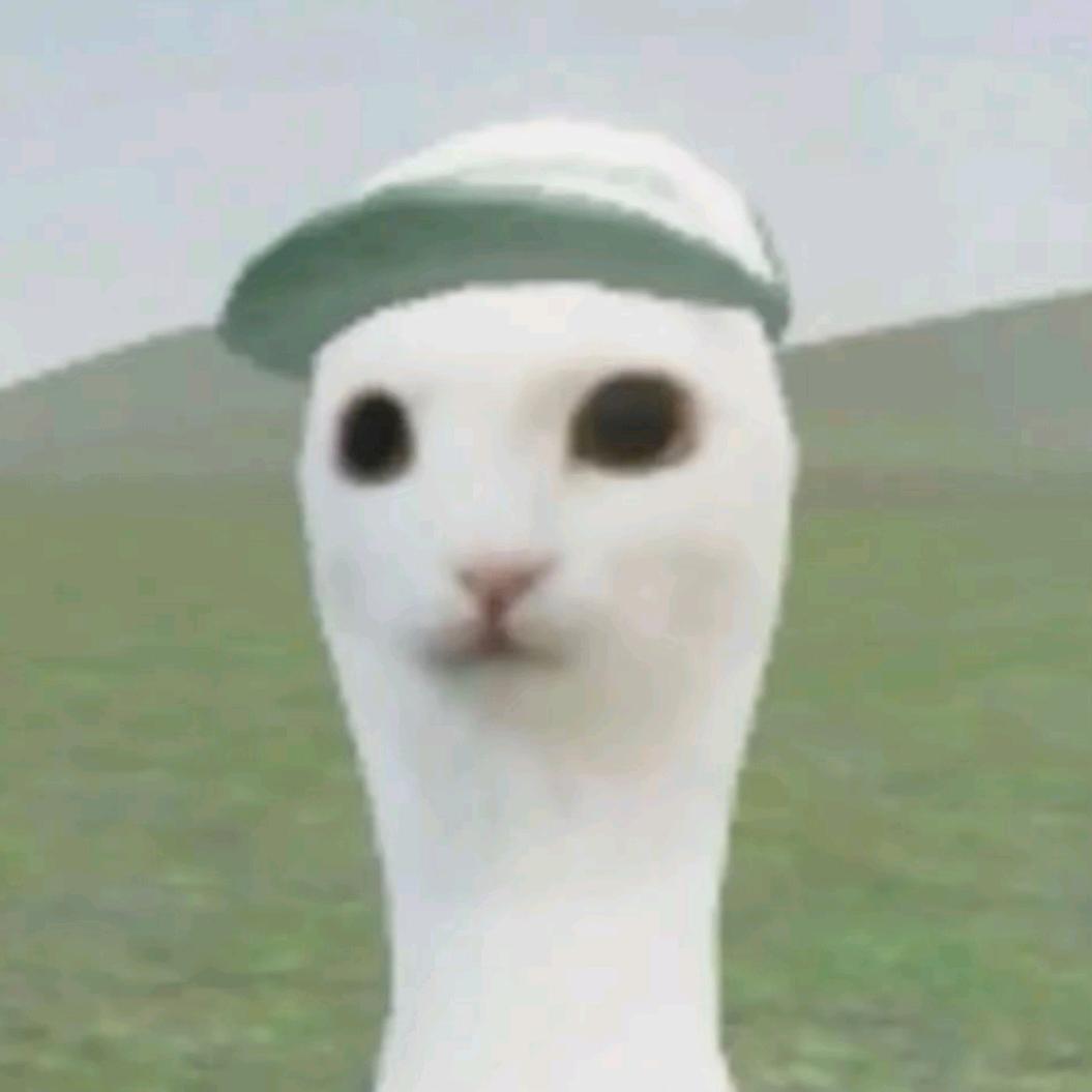 开心的农村人