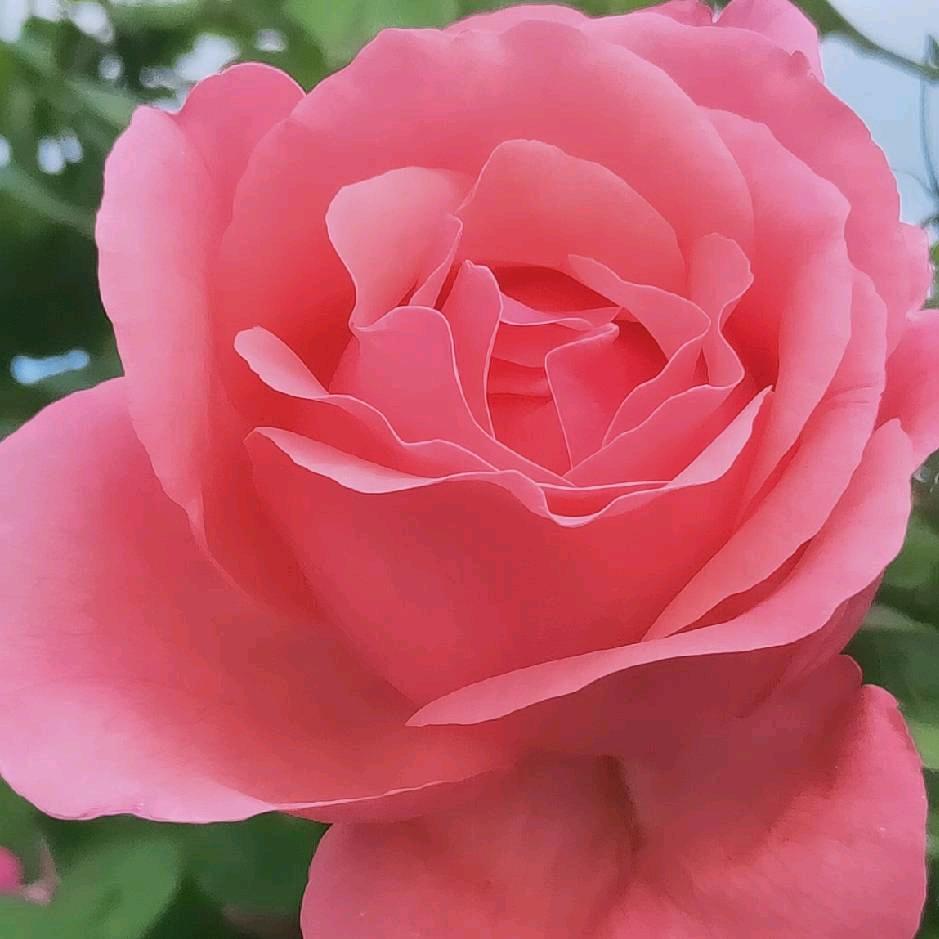 ༄༊࿆࿆沉默ღ᭄ꦿ࿐