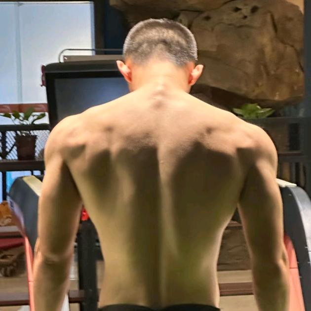 路过的风