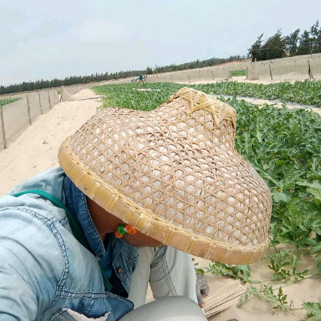 搀扶相约到永久