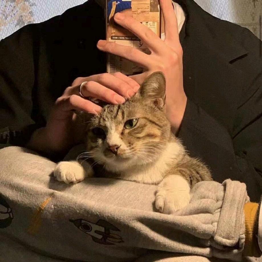 一点点晚风啦