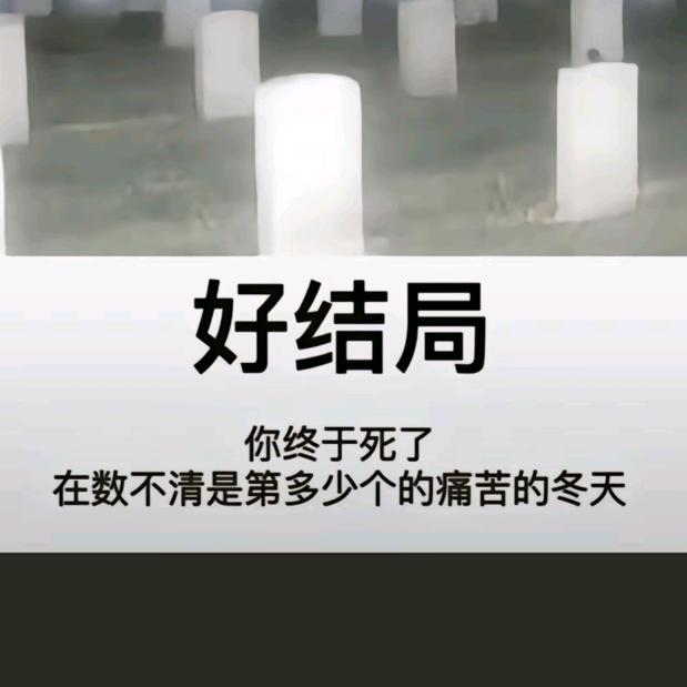 岁华煎人寿