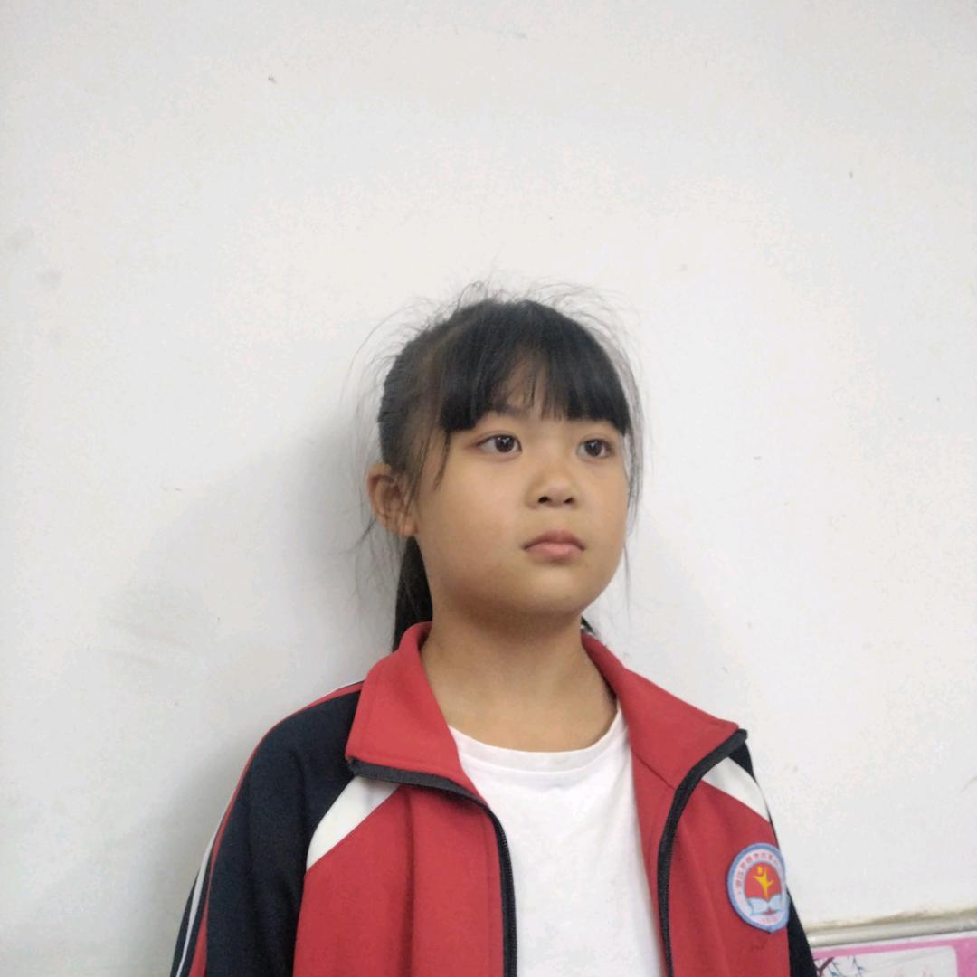 张歌