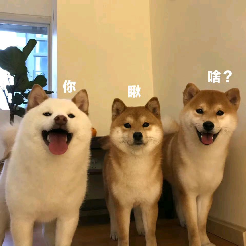 废五岁