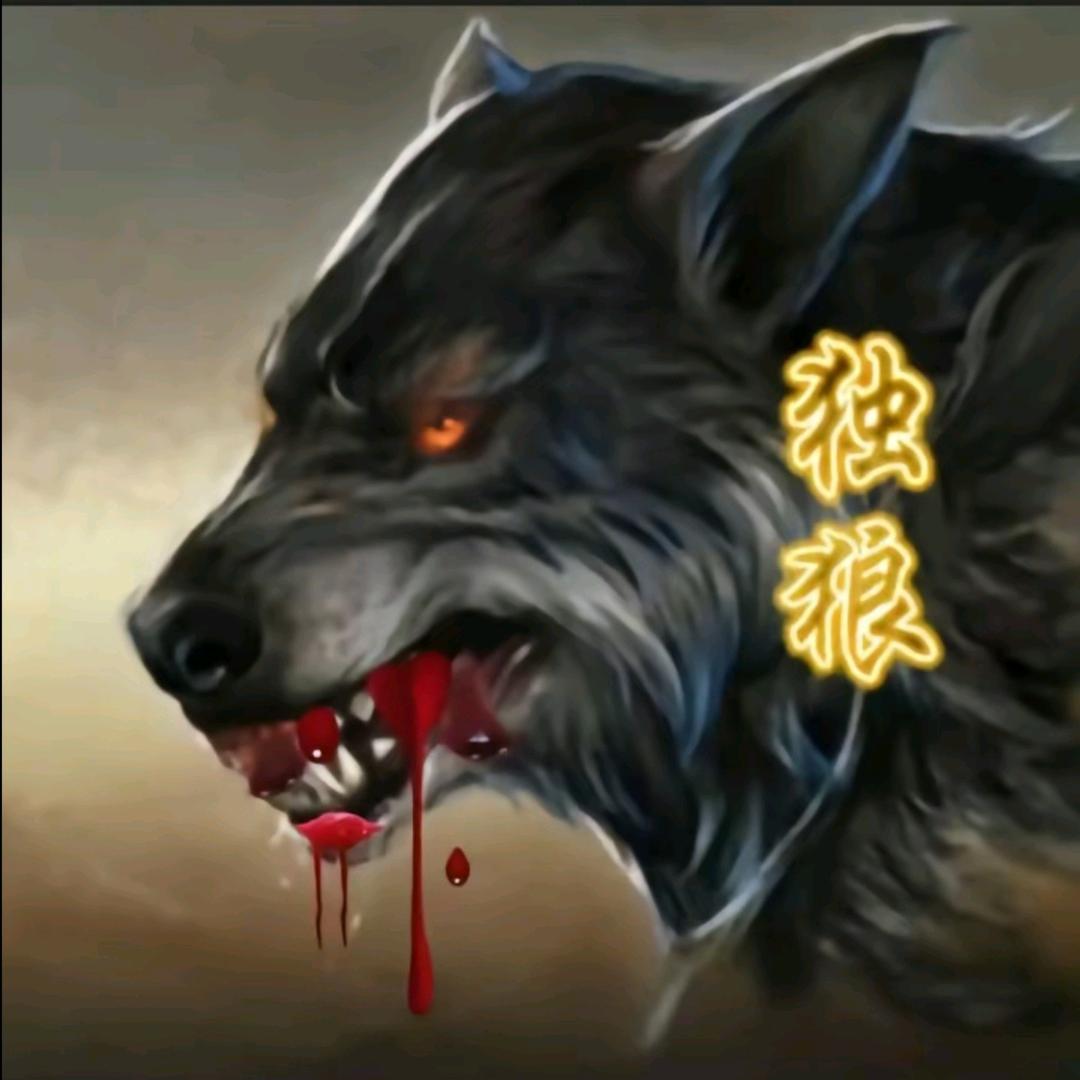 习惯了孤独的味道