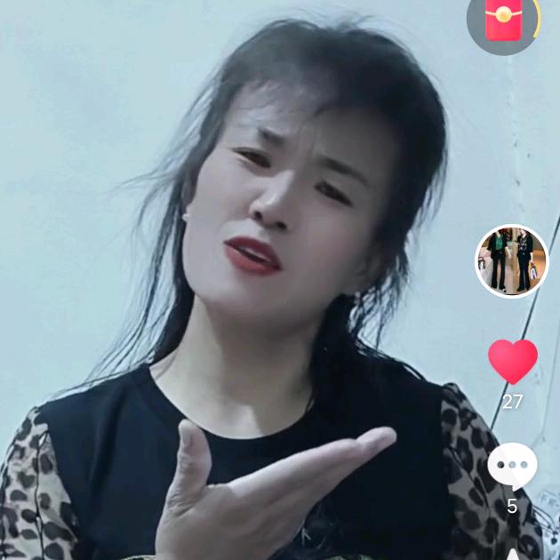 丁凤凰