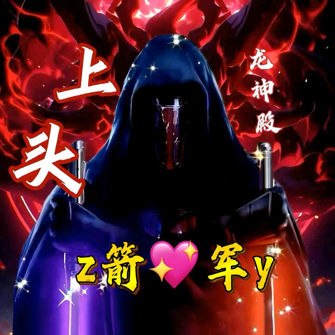 z箭💖军y