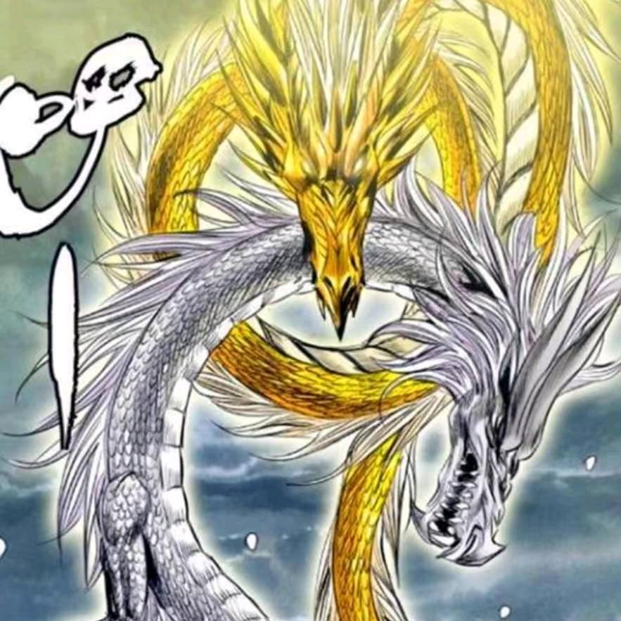 贺州市洁源白蚁害虫防治有限公司