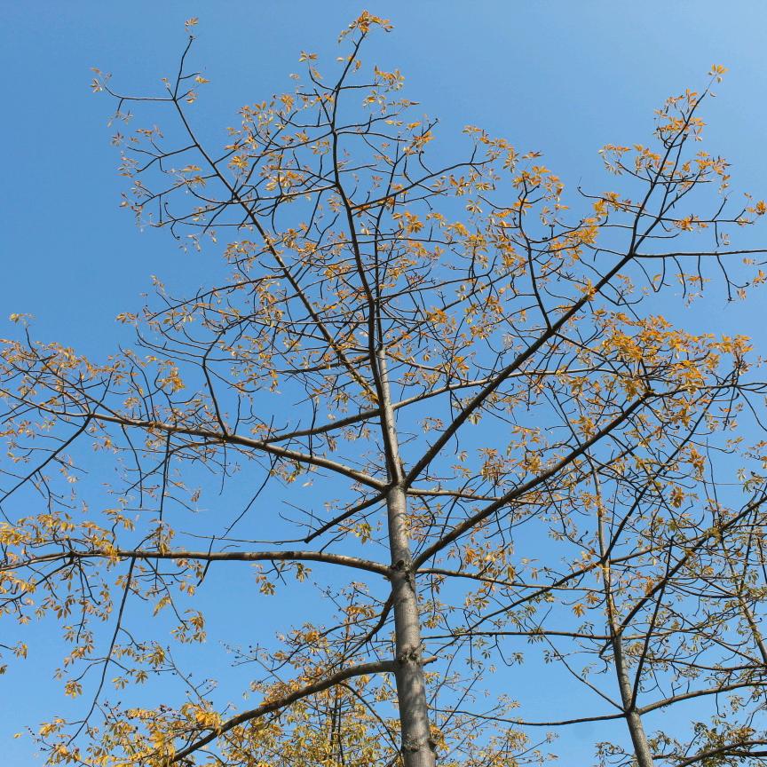 小新服装批发😀