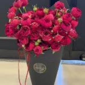 梁平沃莱菲窗帘