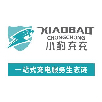 小豹充充新能源充电桩