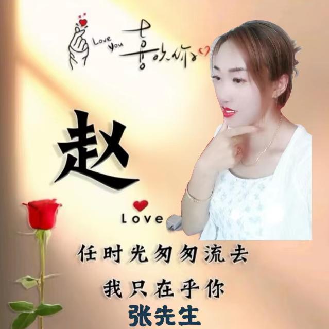 此生只等你Z