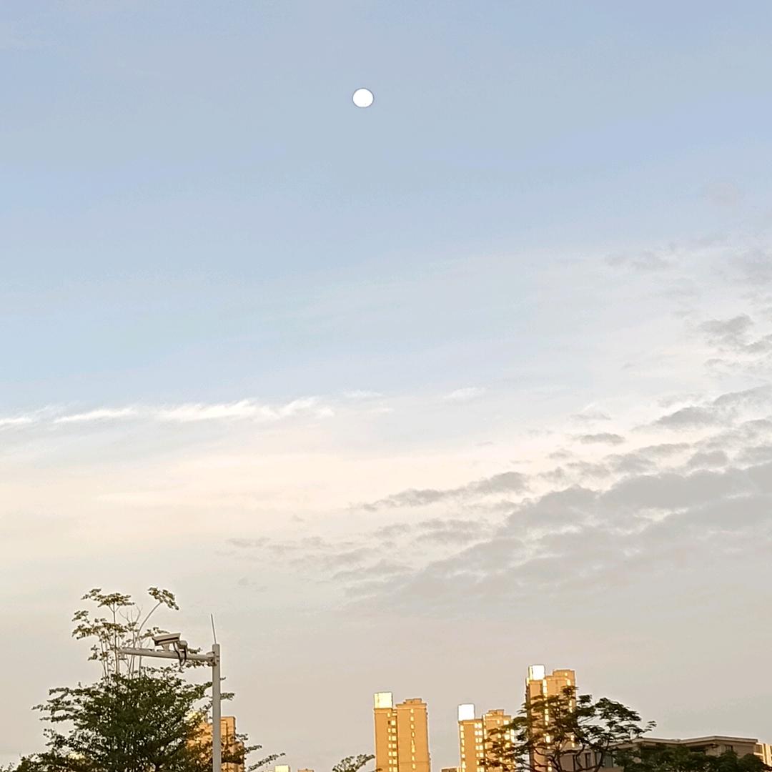 随拍
