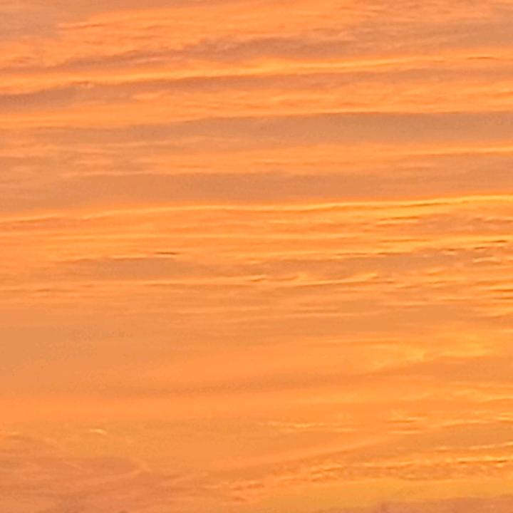 绍苏