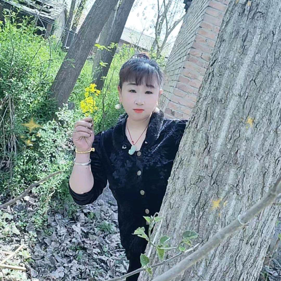 杨家大小姐
