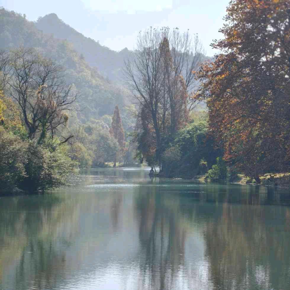 野草。自我成长。
