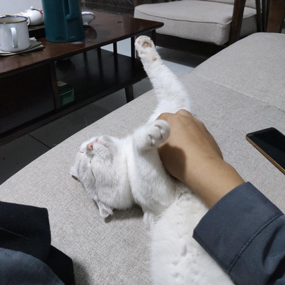 天天求进步🦁