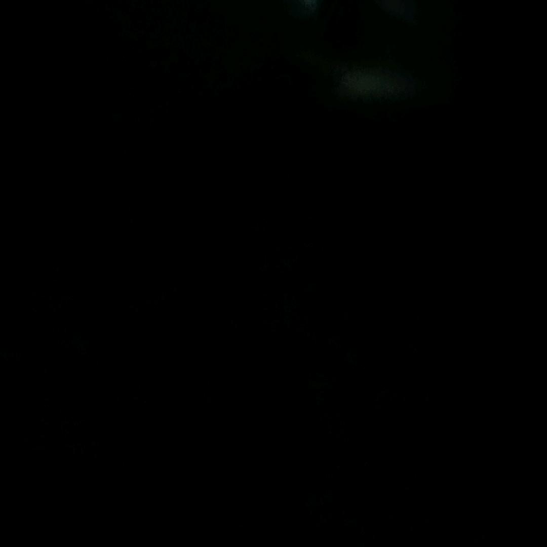 春风十里不如你……