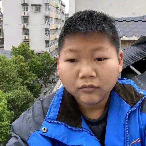 孤独的狼