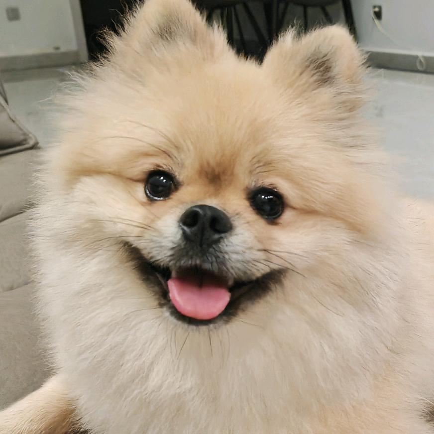 初一小铺