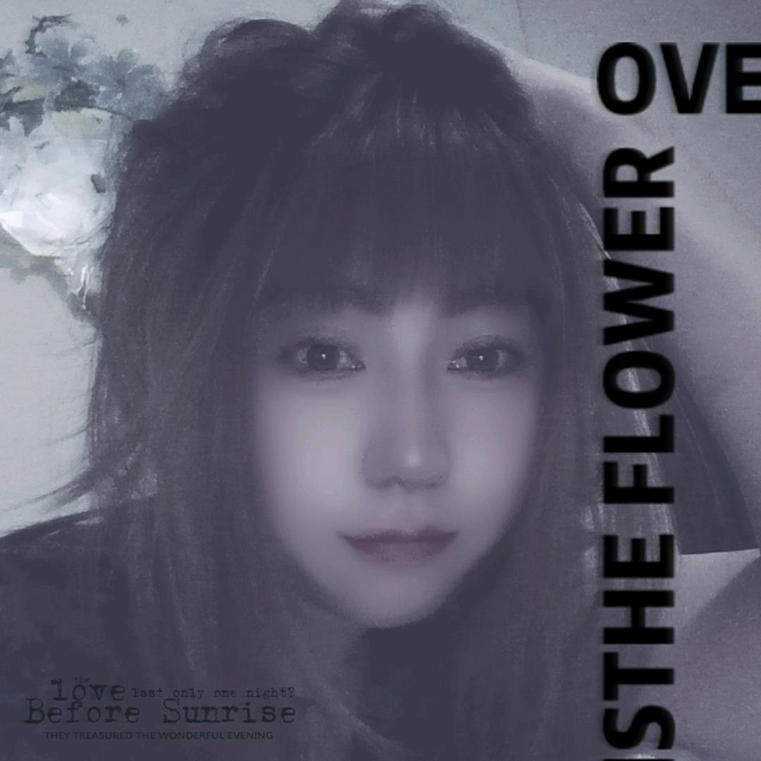 云南大关火腿月饼🥮