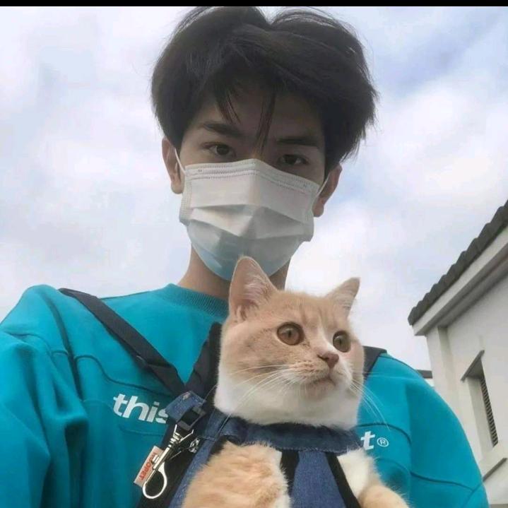 吗喽的命也是命