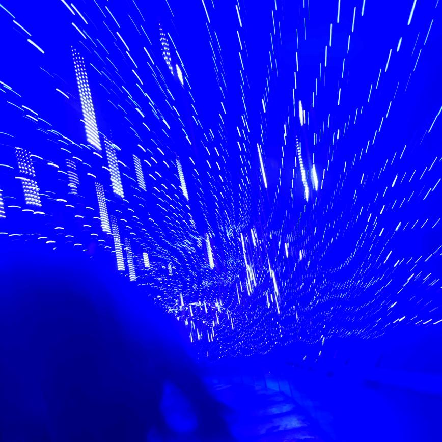 Enter家的小可爱