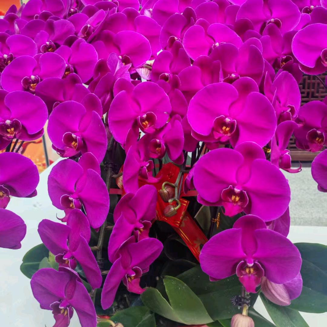 殷味爱你殷憨憨🌹