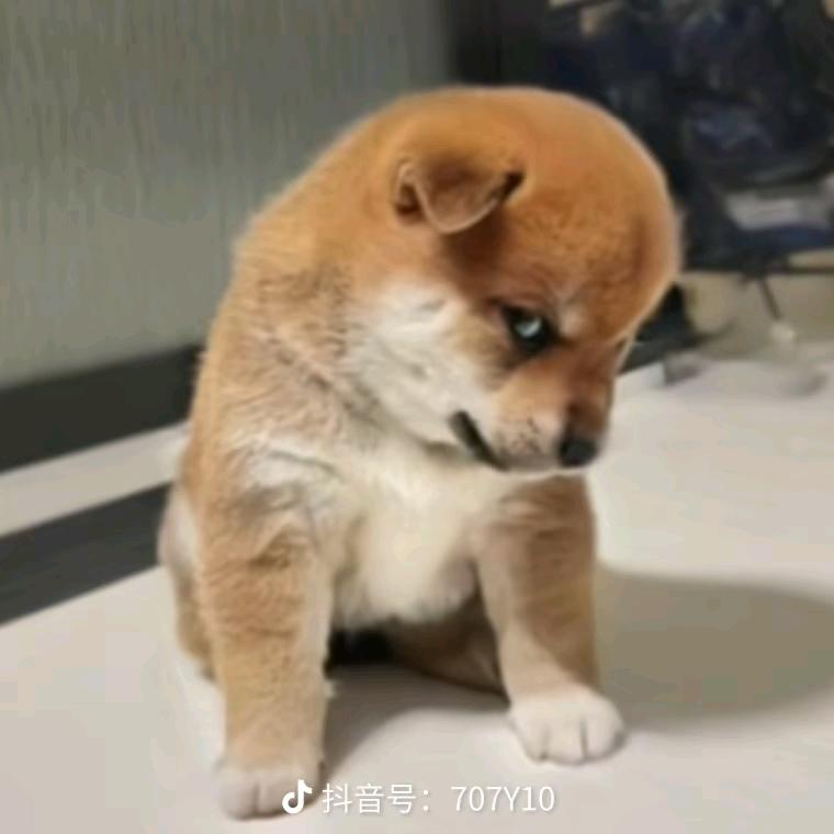 西了个瓜