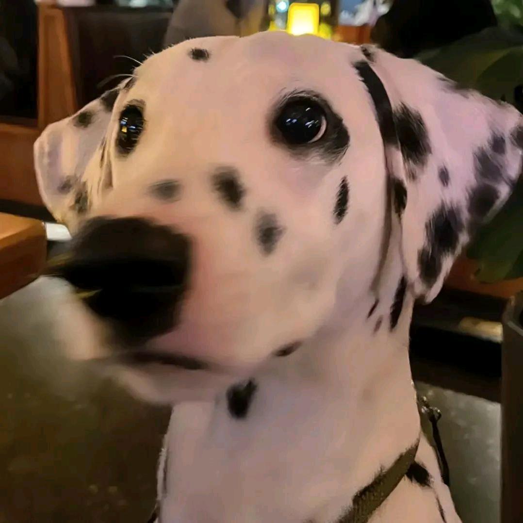 NiiiKooo