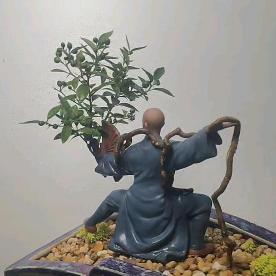 青山白云