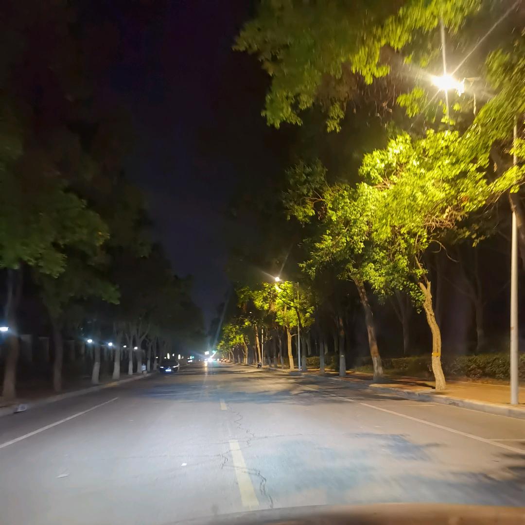 长垣大伟