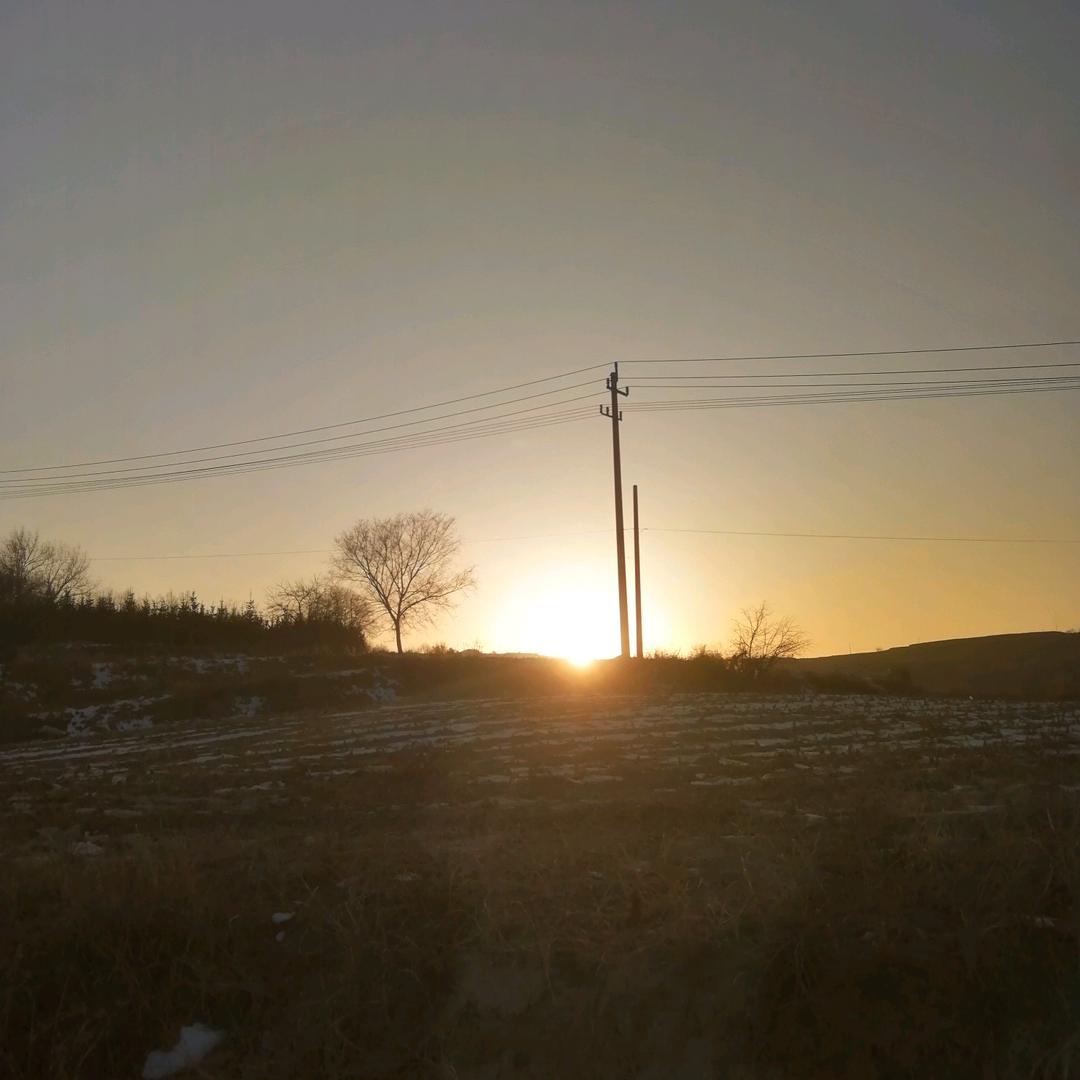 木 木 木 木 木 木 木 木