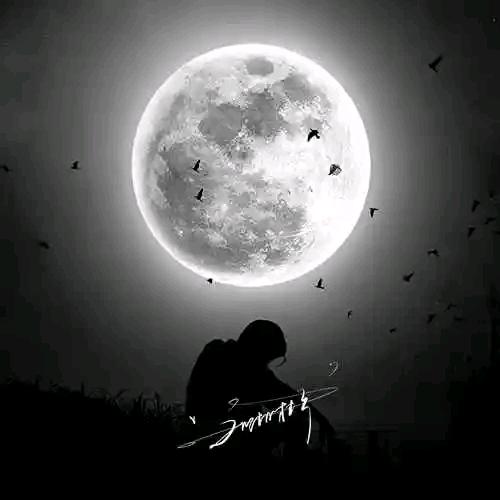 ༺ۣۖ暗夜残影༻