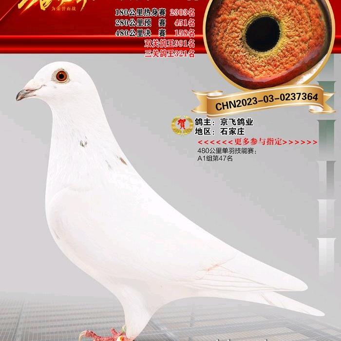 鹤轩百货