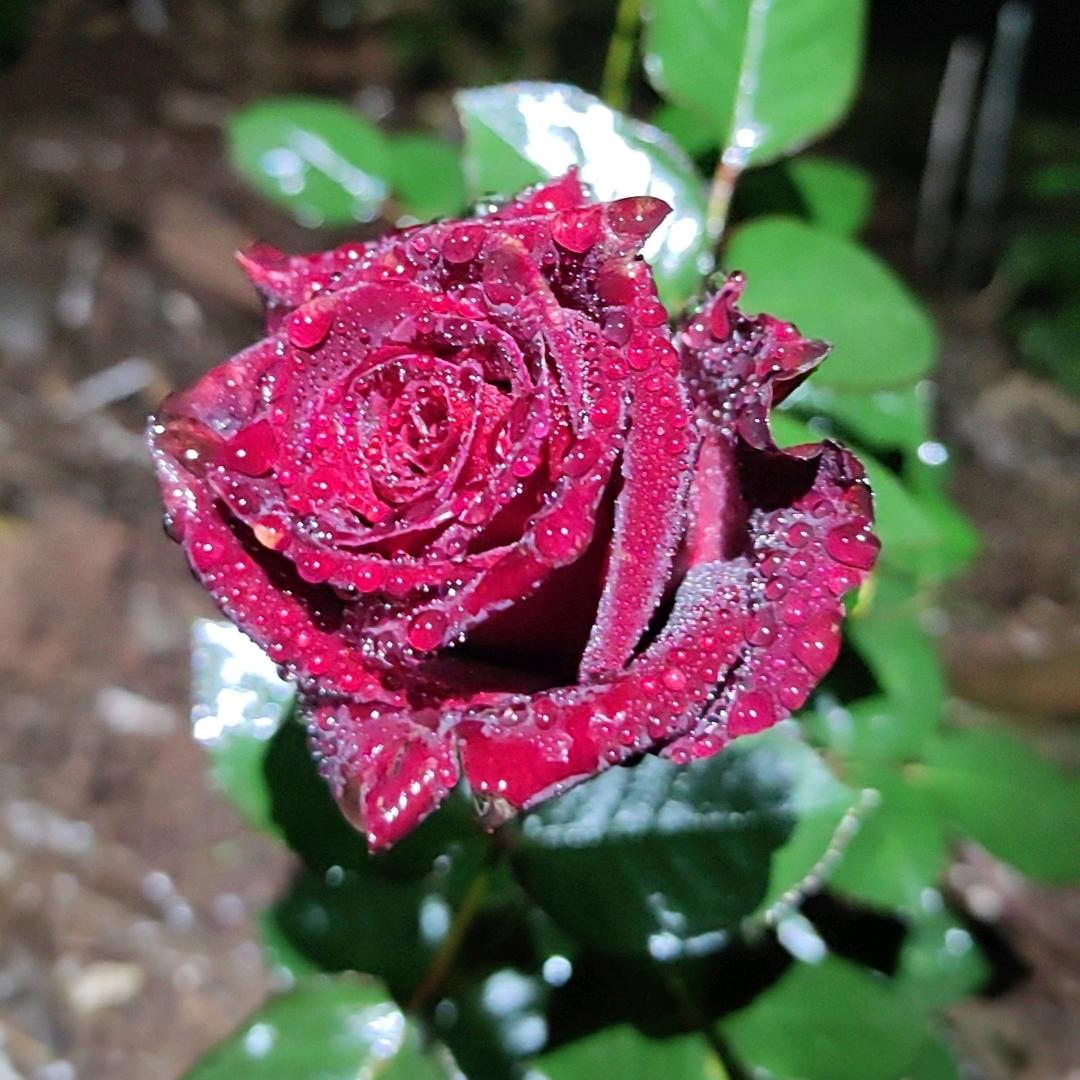 ℳঞ偏爱꧔ꦿ້໌ᮨ࿐