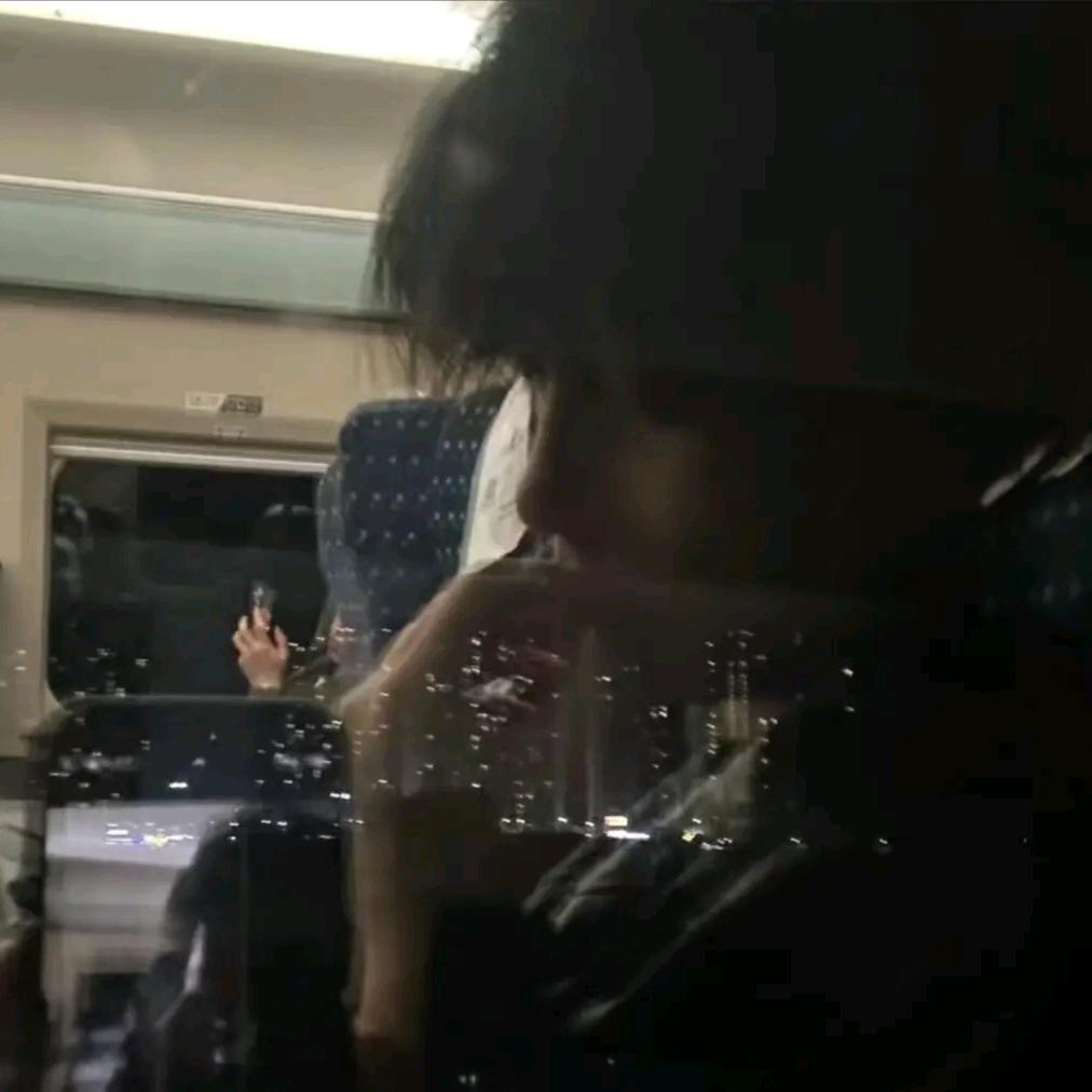 枫叶林