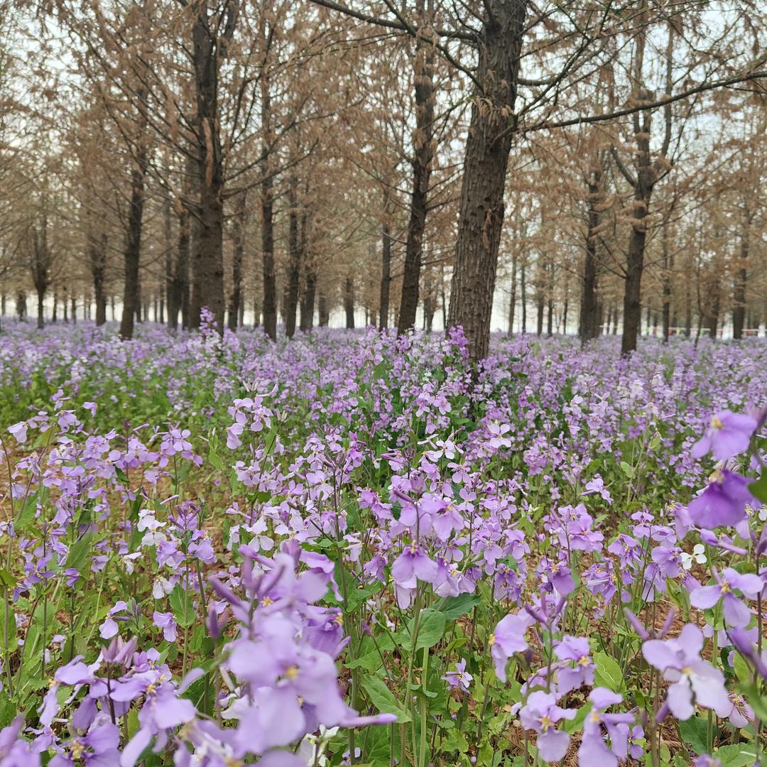 王朵朵er朵朵儿