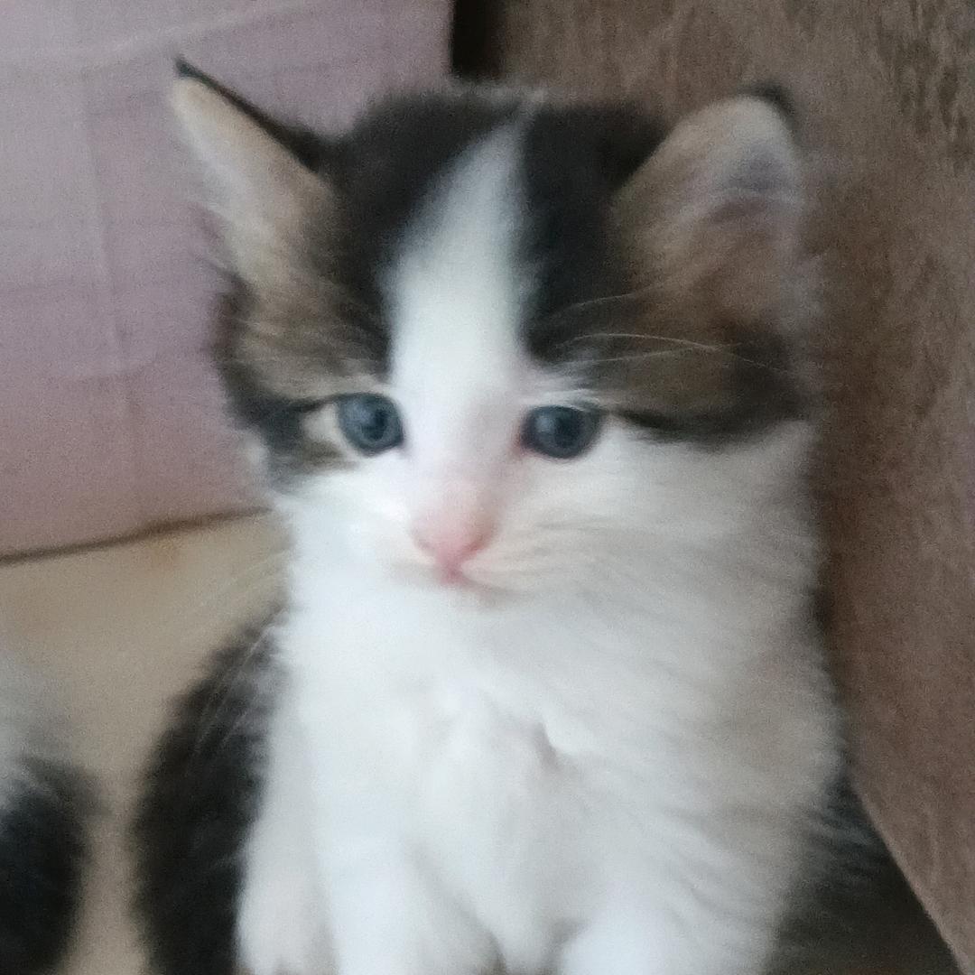 🌴😀知足🍎常乐@🌷